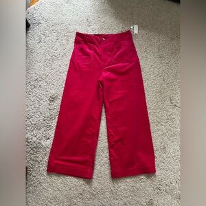 Fuchsia Anthropologie Maeve corduroy Colette- size 32